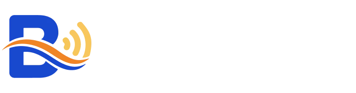 Bizsitejoy logo